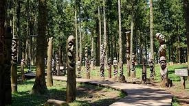 Jeolmul Forest Park