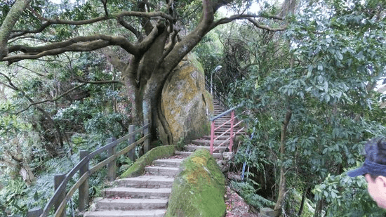 Elephant Mountain Hiking Trail