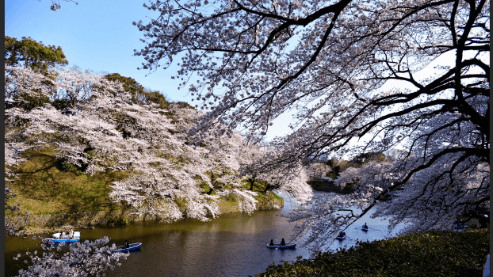 Kitanomaru-koen Park