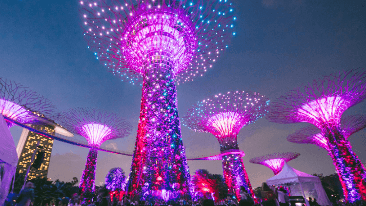 Garden Rhapsody Light Show