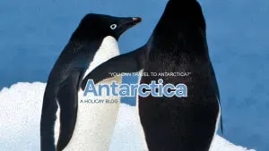 Chasing Ice instead of FIRE (iykyk)