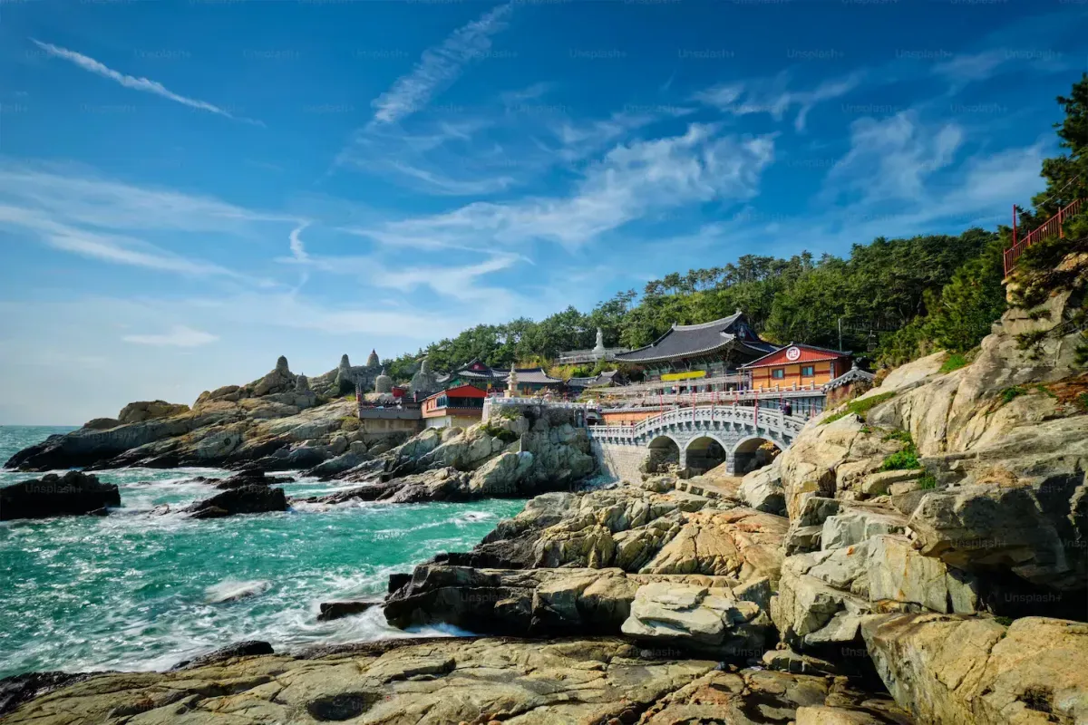 Photo from Holicay - A Taste of Busan: 5 Days of Food, Culture, and Relaxation