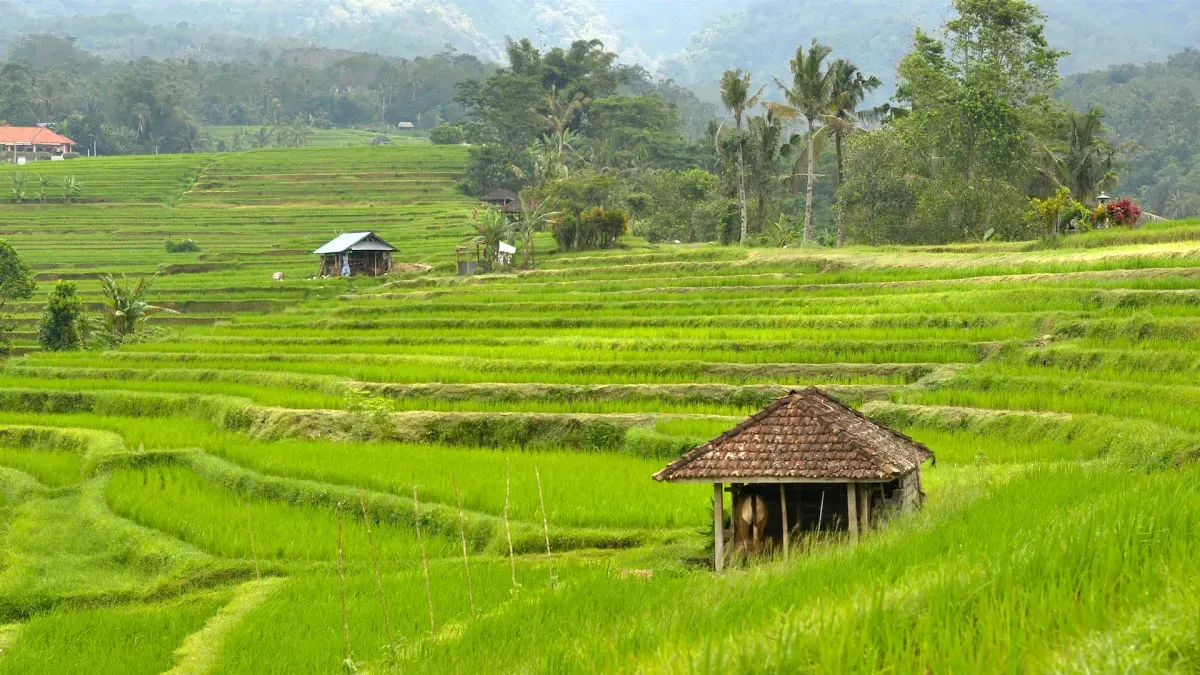 Photo from Holicay - Discovering the Beauty and Culture of Bali in 2 Days