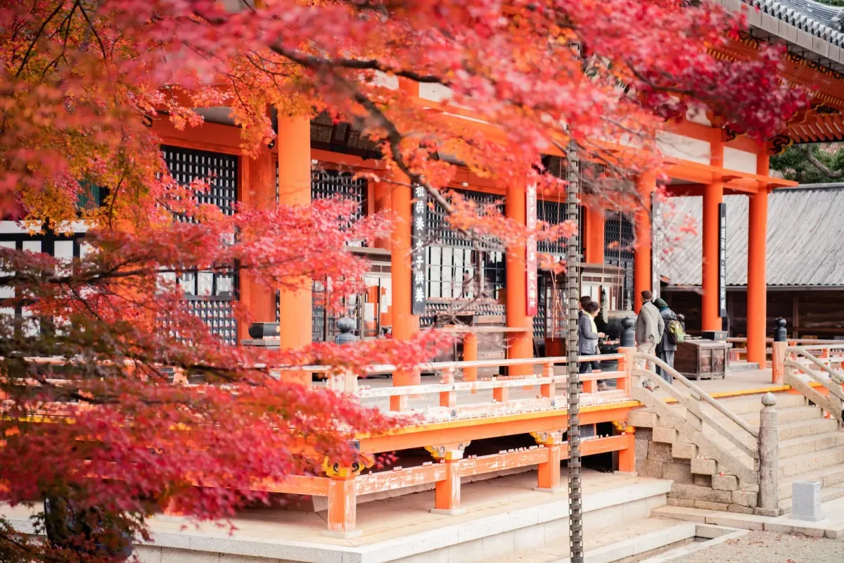 Photo from Holicay - The Ultimate 4-Day Osaka Itinerary