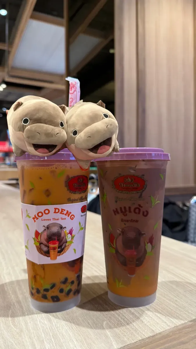 Photo from Holicay - 4D3N in Bangkok