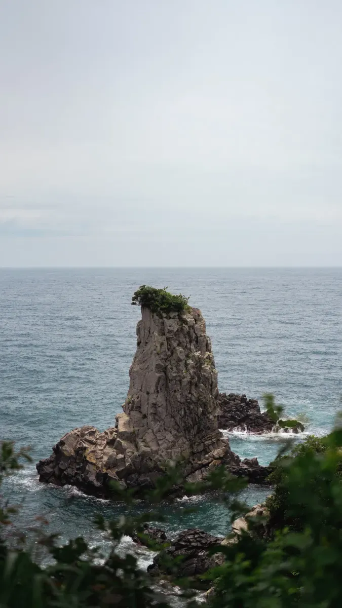 Photo from Holicay - Discovering Jeju's Natural Beauty and Unique Attractions: A 3-Day Adventure