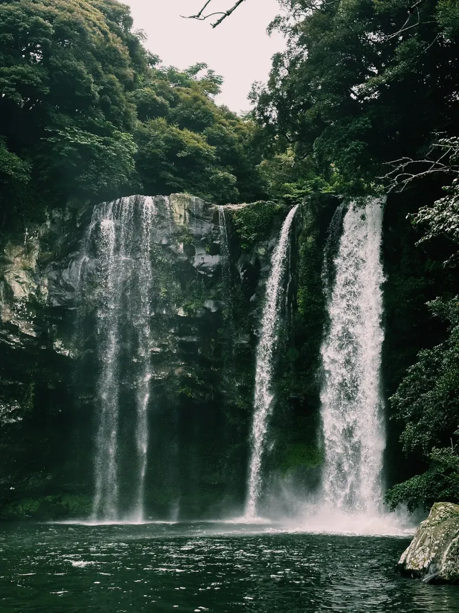 Photo from Holicay - Enchanting Jeju: A Two-Day Island Adventure