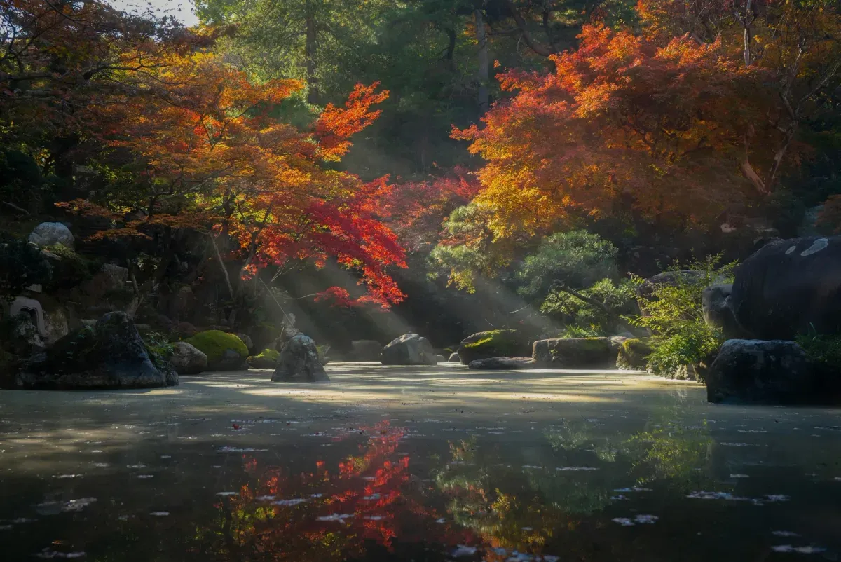 Photo from Holicay - 3 days in Kyoto: A City of Temples, Gardens, and Gastronomy