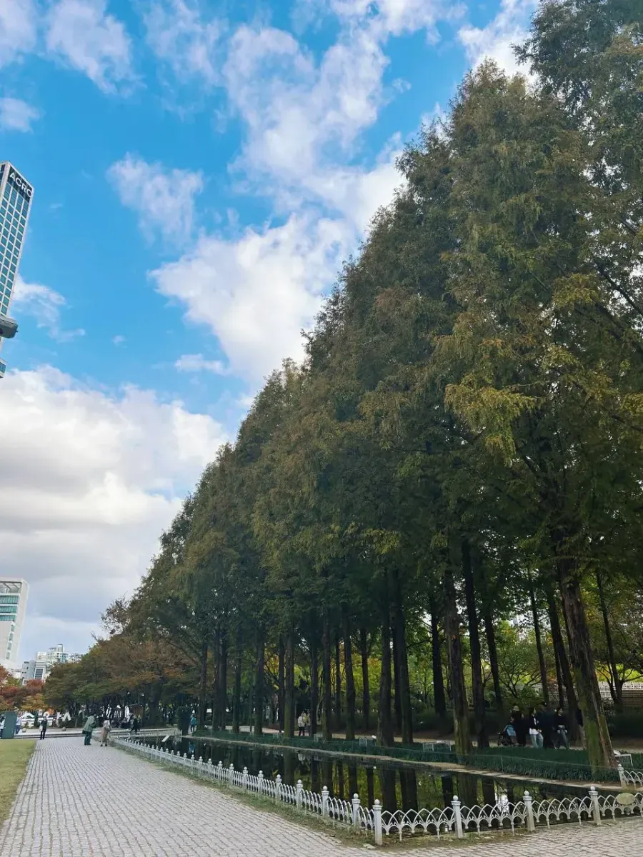 Photo from Holicay - 8 days of Seoul