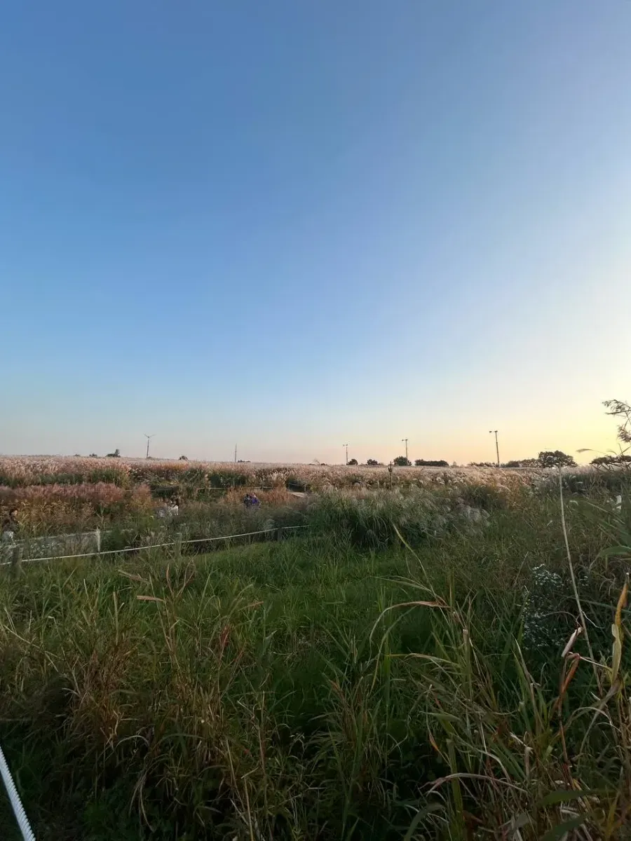 Photo from Holicay - 8 days of Seoul